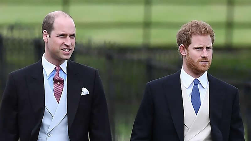 Prince William and Harry hold crucial talks