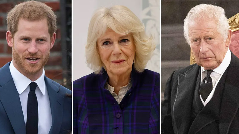 Prince Harry, King Charles and Queen Camilla