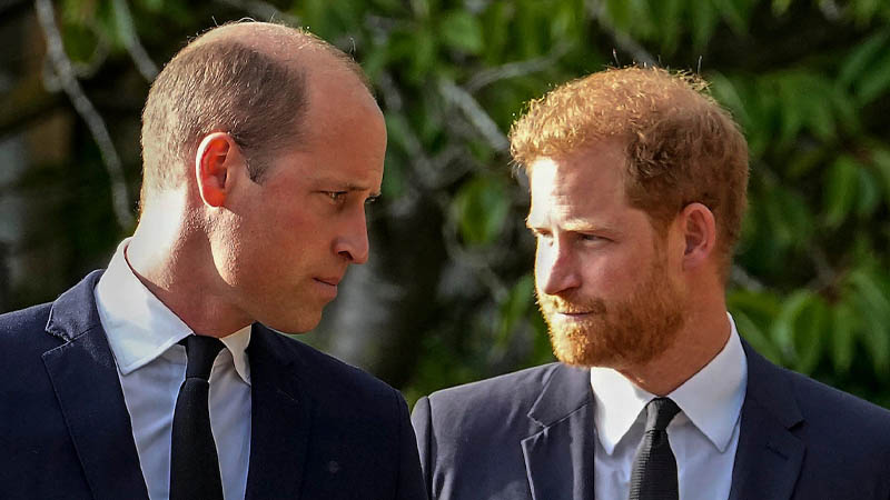 Prince William and Prince Harry