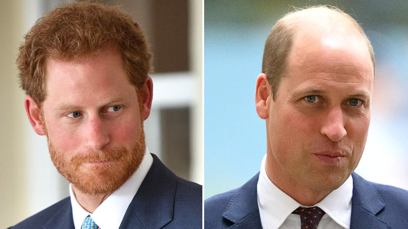 Prince William and Prince Harry