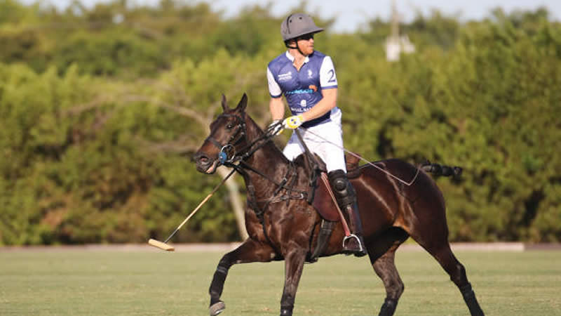 harry playing polo