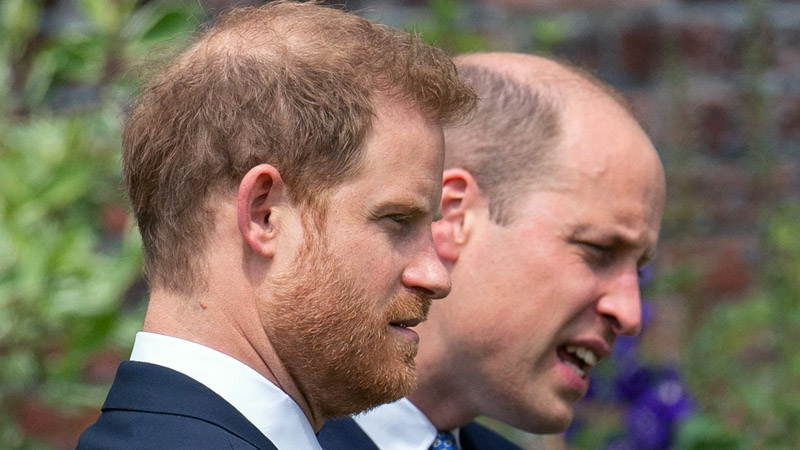 Prince William And Prince Harry